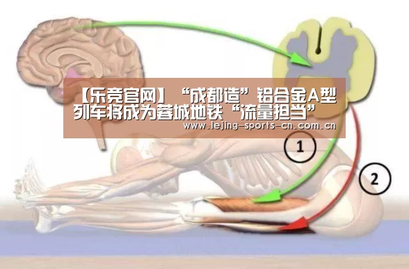 乐竞运动