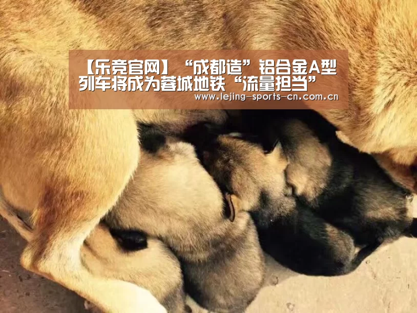 【乐竞官网】“成都造”铝合金A型列车将成为蓉城地铁“流量担当”(图2)