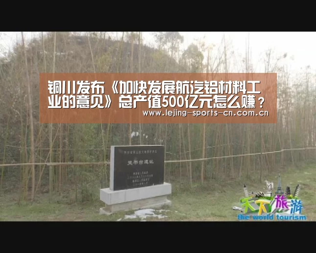 铜川发布《加快发展航汽铝材料工业的意见》总产值500亿元怎么赚?_乐竞首页(图2) 乐竞首页